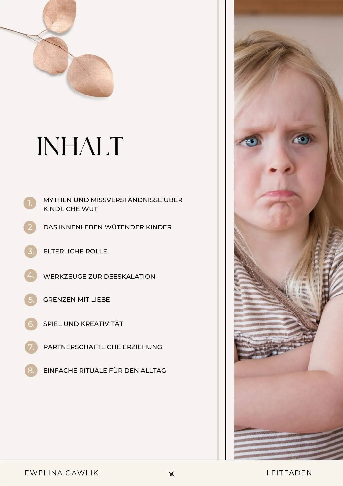 Leitfaden: Kinderwut Verstehen und Meistern - Bild 4